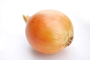 양파(Onion)